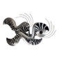 Shop Miami Vintage Decor