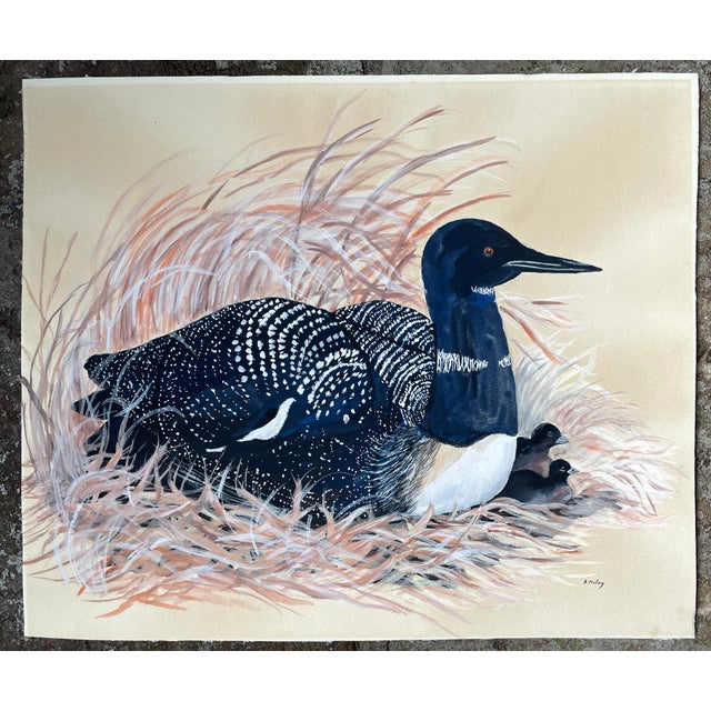 Loon Shore Bird Painting by McCoy For Sale - Image 4 of 4