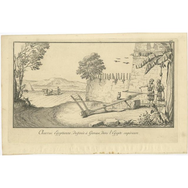 Egyptian Ploughing Scene at Gamase, Upper Egypt – Norden Engraving 1755 : This rare genre scene shows agricultural life in...