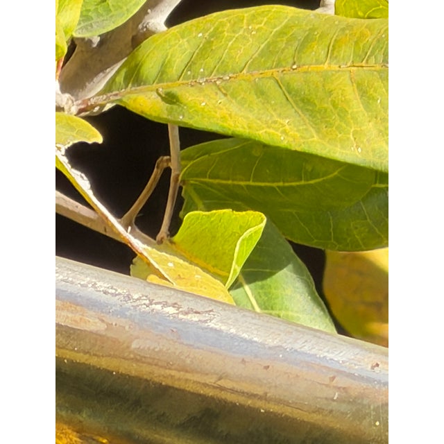 Paul Chilkov Kinetic Wind Sculpture For Sale - Image 10 of 11