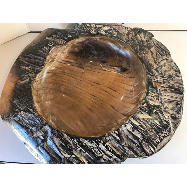 Early 21st Century Early 21st Century Organic Modern Handmade Teak Root Bowl For Sale - Image 5 of 9