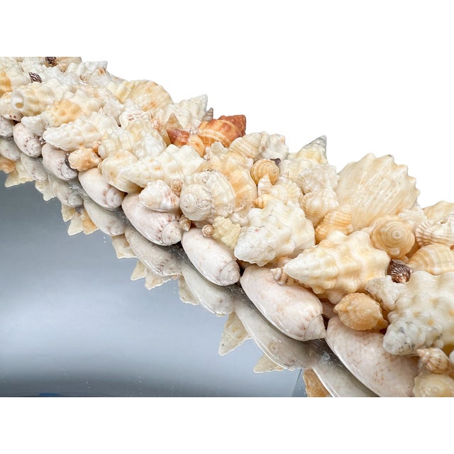 Signed Vintage Diamond-Shaped Seashell Shell Encrusted Wall Mirror – Coastal / Organic Modern For Sale - Image 10 of 13