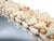 Signed Vintage Diamond-Shaped Seashell Shell Encrusted Wall Mirror – Coastal / Organic Modern For Sale - Image 10 of 13