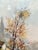 The Old Mill, 1920s, Watercolor, Set of 2 For Sale - Image 11 of 18