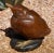 Art Nouveau Amalric Walter Henri Berge Pate De Verre Brown Bird Paperweight For Sale - Image 3 of 10