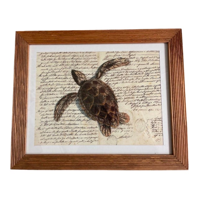 Vintage Sea Turtle Script Art Print in Fluted Wooden Frame For Sale