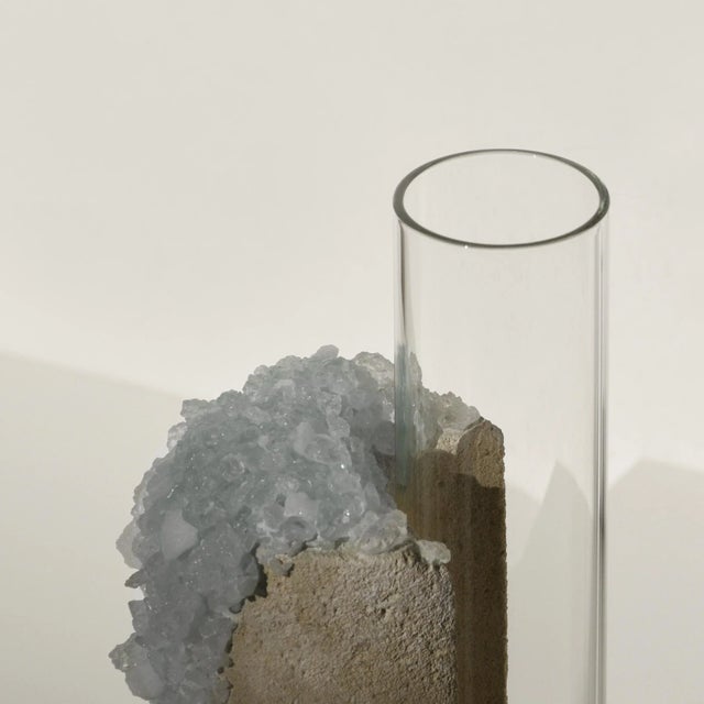 Not Yet Made - Made To Order Winter 2 Cochlea of ​​Development Seasons Edition Vase by Coki Barbieri For Sale - Image 5 of 8
