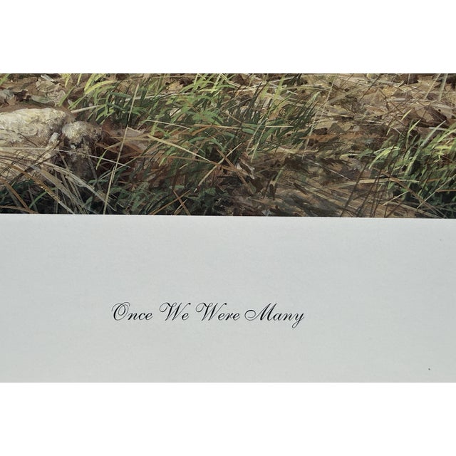 Once We Were Many Lee Cable Limited Edition S/N Wild Buffalo Fine Art Print W/Coa For Sale - Image 4 of 9