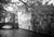 Paul Cooklin, Bruges, Belgium 32, Edition of 50 For Sale - Image 4 of 4