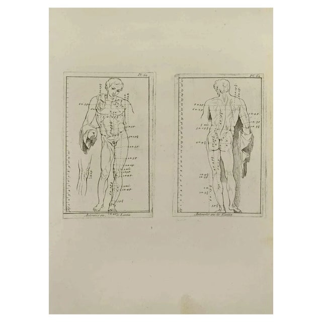 Nicholas Cochin, Anatomy Studies, Etching, 1755 For Sale