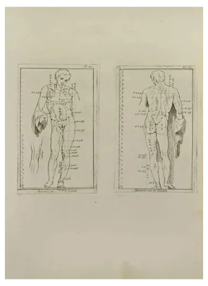 Nicholas Cochin, Anatomy Studies, Etching, 1755