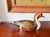 Bring timeless charm and craftsmanship into your space with this vintage hand-carved wooden pintail duck decoy by The...