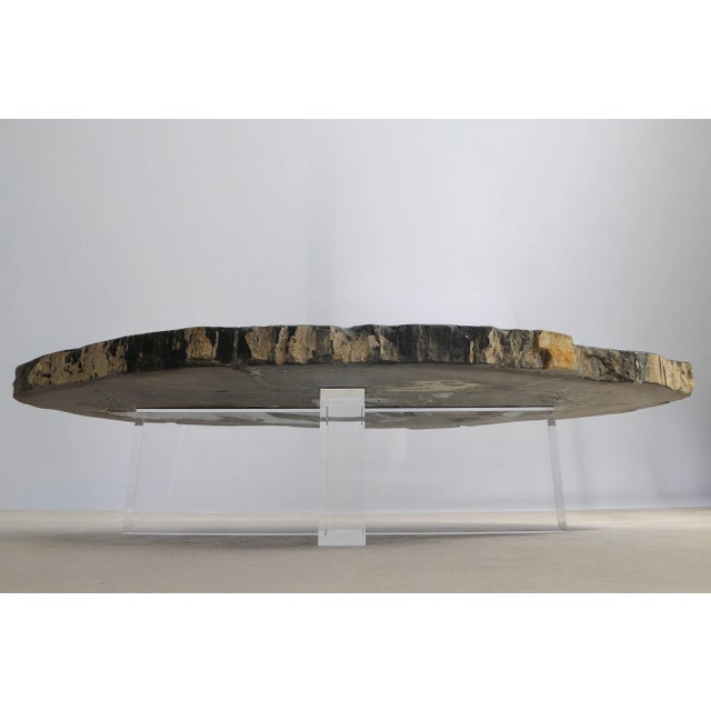 Black Petrified Wood Coffee Table by Xyleia Petrified Wood For Sale - Image 4 of 11