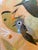 “Little Birds” by LWren Walraven For Sale - Image 9 of 12