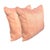 Elevate your space with this elegant blush pink throw pillow, featuring a subtle tropical leaf print in soft white. The...