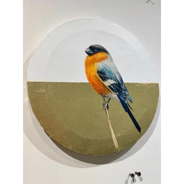 Anastasia Gklava, Eurasian Bullfinch, Orange & Black Bird Composition, Painting with Gold Leaf on Round Canvas, 2025 For Sale - Image 12 of 18