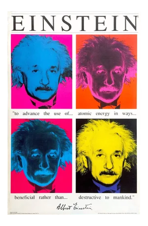 Vintage 1991 Albert Einstein " Faces " Collector's Pop Art Poster Print
