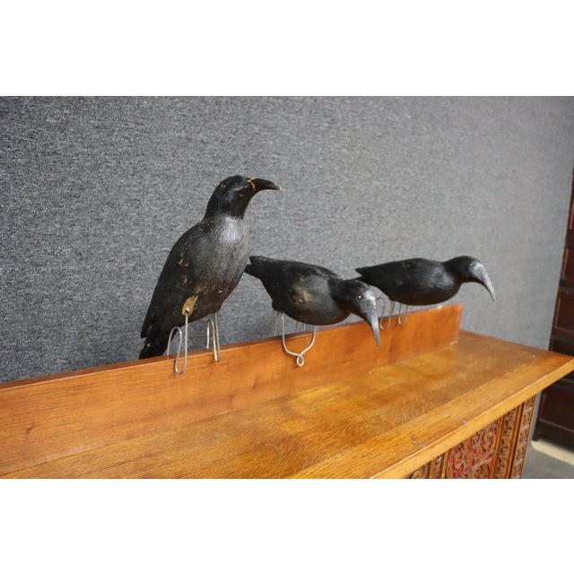 Folk Art Crow Decoys – Set of Three For Sale In Philadelphia - Image 6 of 18