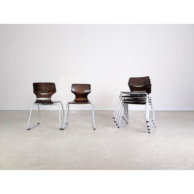 Mid-Century Paved Wooden Chairs, Set of 6 For Sale - Image 6 of 11