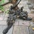 19th Century Venetian Gilded, Carved Wood Grotto Style Table For Sale - Image 4 of 10