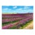 Lavender Field Countryside Landscape Oil Painting on Canvas by Humprey For Sale