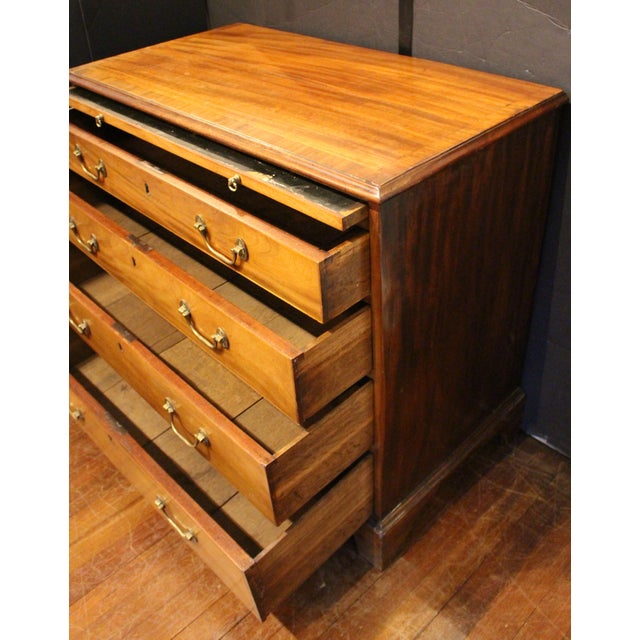Circa 1770 Likely Scottish George III Bachelor's Chest With Slide For Sale - Image 13 of 14