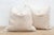 Textile Pair of Large Silk Pearl Plaster Pillows For Sale - Image 7 of 8