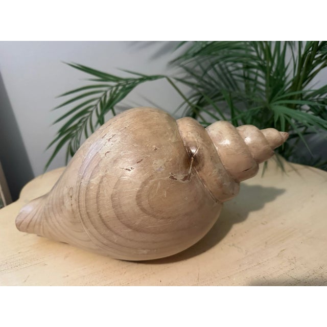 Tan Sarreid Large Carved Wood Conch Shell, Made in Spain For Sale - Image 8 of 11