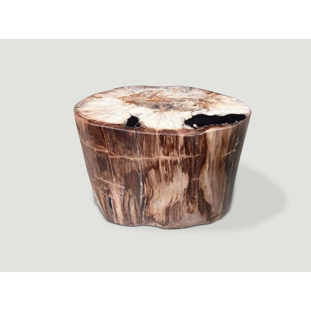 "Striking earth tones on this high quality petrified wood side table. It’s fascinating how Mother Nature produces these...