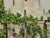 English 19th Century Brass and Mirror Architectural Element with Floral Decor For Sale - Image 12 of 12