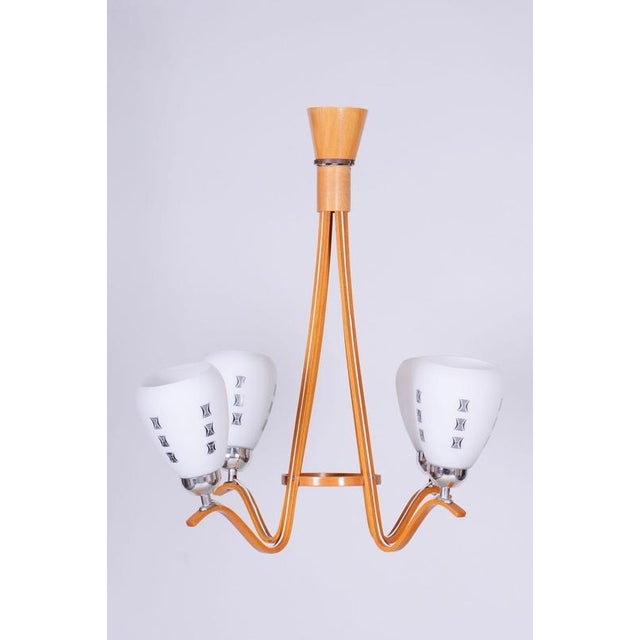Mid-Century Chandelier in Beech and Glass from Dřevo Humpolec, Czech, 1960s For Sale - Image 10 of 13