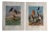 1934 Hawks Illustrated Color Prints - a Pair For Sale