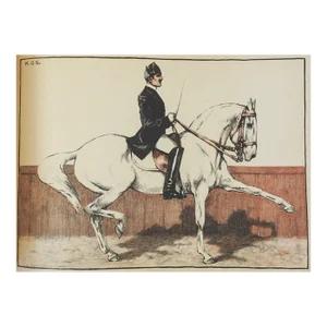 Just Horses by k.o. S. Baroness Dombrowski Horse Book Plates