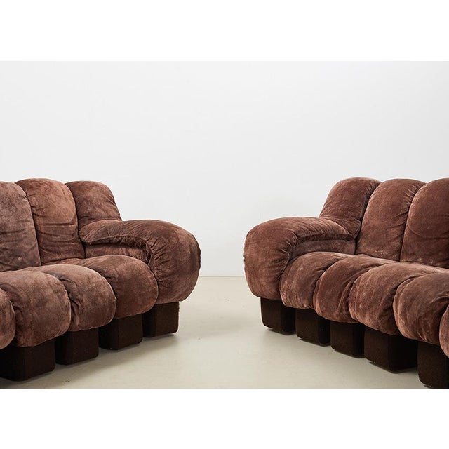 Textile DS-600 Snake Sofa by Ueli Berger for de Sede, Switzerland, 1970s, Set of 22 For Sale - Image 7 of 15
