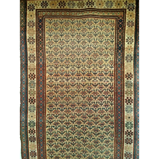 Tan 19th Century Persian Kurdish Bidjar Rug, Hand-Knotted Wool, Allover Paisley Pattern, Tan & Burgundy, 4x9 For Sale - Image 8 of 15