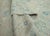 Textile Turkish Oushak Rug 5' x 7' #17895 For Sale - Image 7 of 8