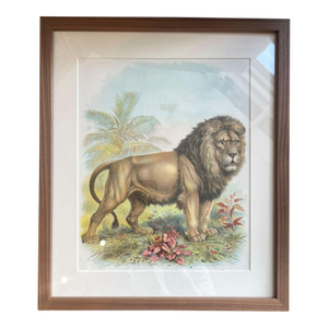 Antique Lion Botanical Print in Wood Frame