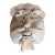 All Seasons Accessories Shell Mask Wall Accent For Sale