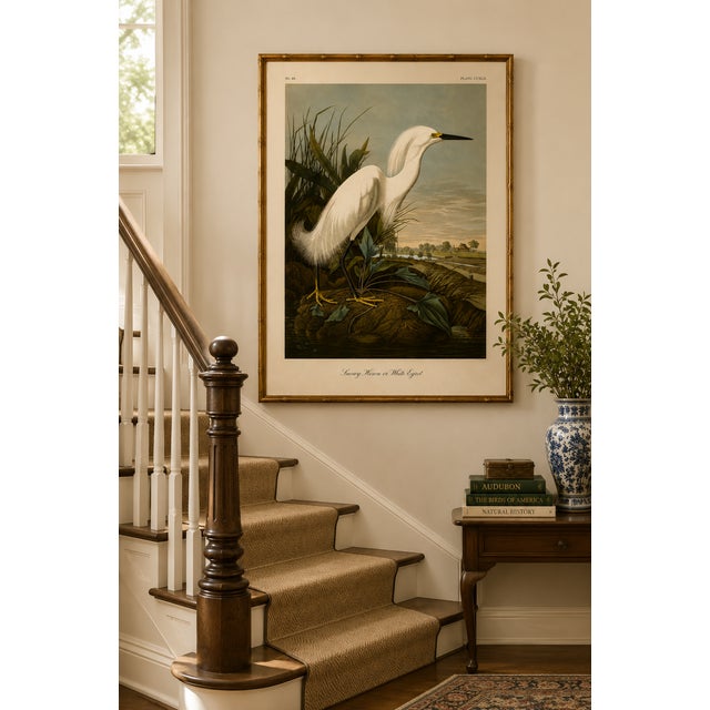 Paper Snowy Heron or White Egret, Museum Style Audubon Bird Print, 20" X 30" For Sale - Image 7 of 12