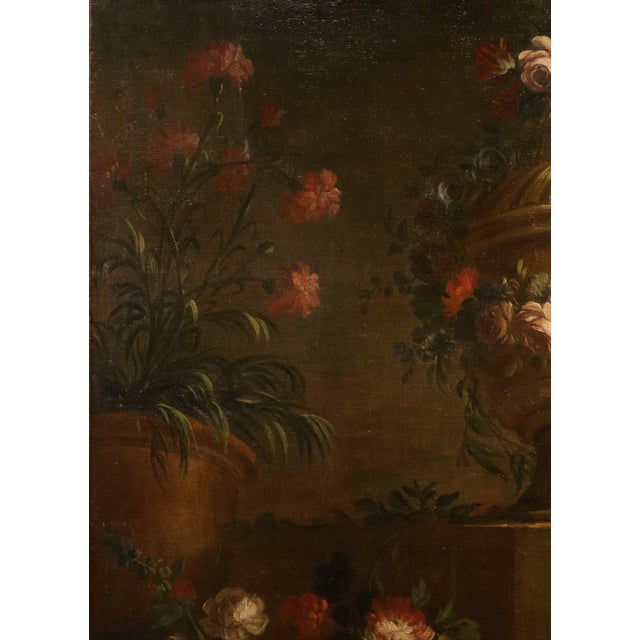 Pietro Francesco Gambone, Still Life Flowers, 18th Century, Oil Painting on Canvas, Framed For Sale - Image 8 of 13
