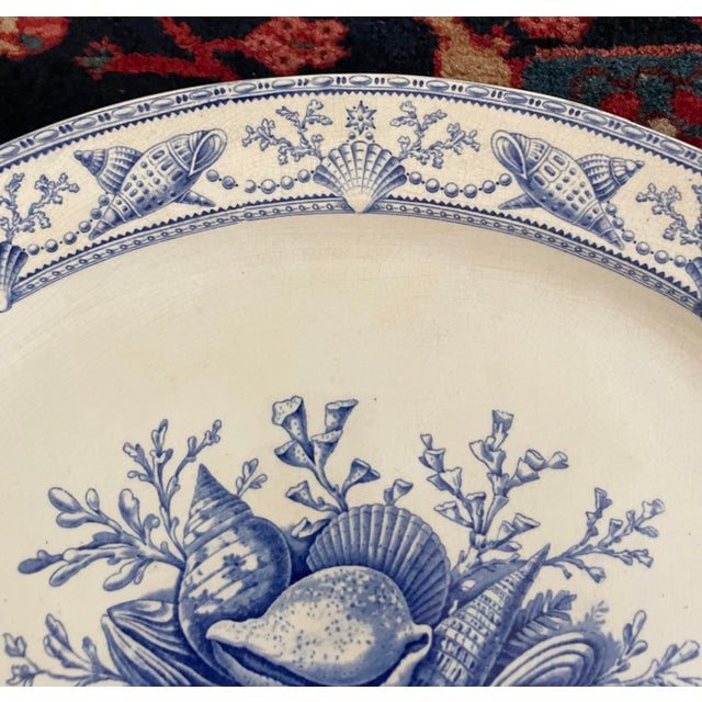 English Antique English Blue and White Nantasket Clovelly Shell Platter For Sale - Image 3 of 7