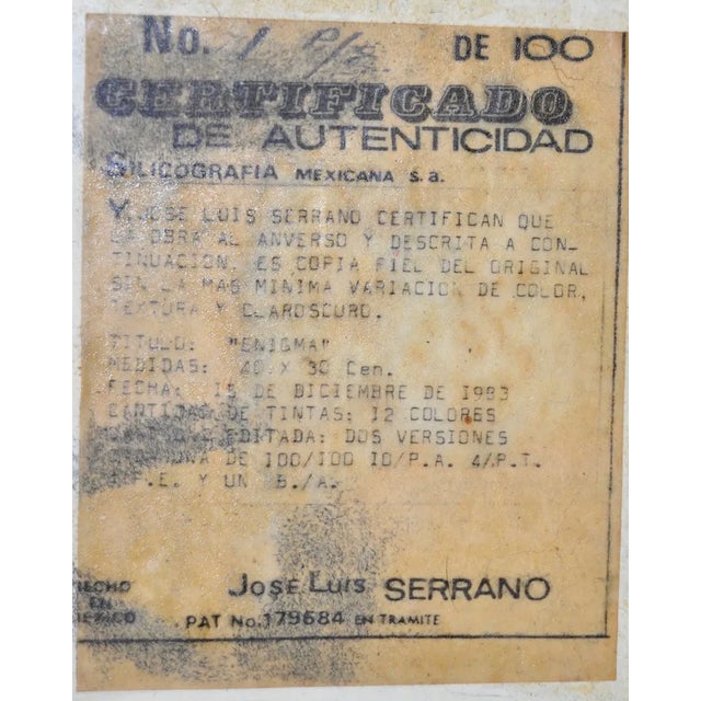 Abstract Mixed Media Masterpiece by Jose Luis Serrano For Sale In San Francisco - Image 6 of 6