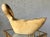 Mid 20th-Century Hand-Hewn Swan-Shaped Decorative Wooden Bowl / Cachepot, Mexico For Sale - Image 4 of 18