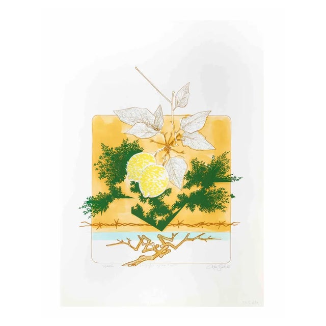 Leo Guida, Still Life, Screen Print, 1976 For Sale