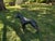 Geometric Pit Bull Sculpture in Graphite Gray - Large Modern Low Poly Steel Dog Statue, Contemporary Floor Art, Ready to Ship Usa For Sale - Image 9 of 13