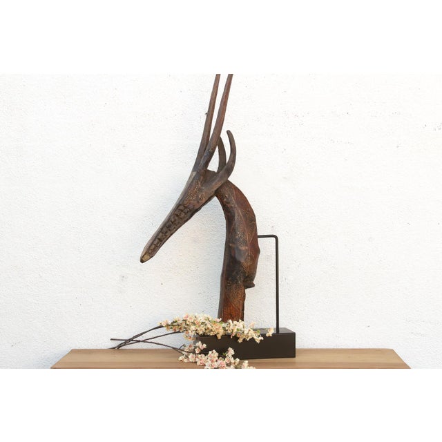 51" Grand Antique Bamana Gazelle Headdress For Sale - Image 9 of 9