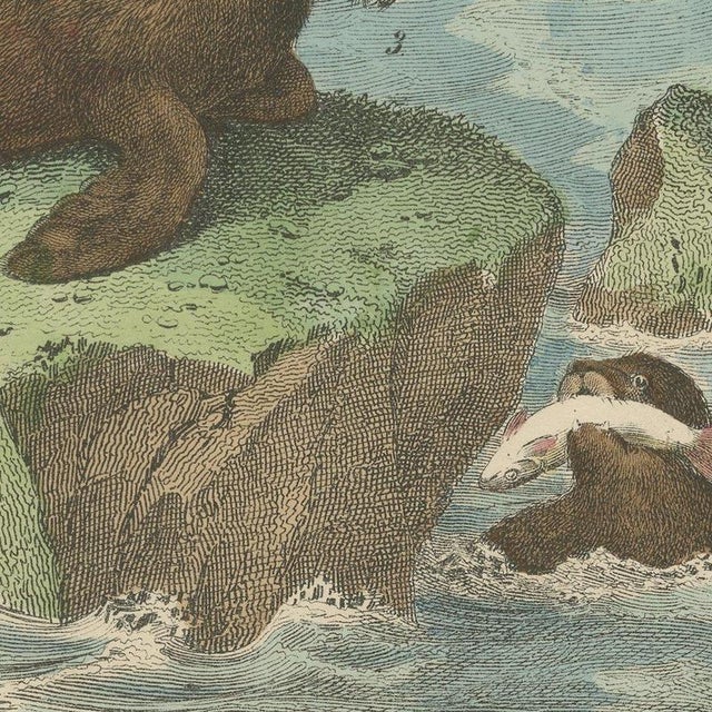 Paper Carl Friedrich August, Whaling Scene with Bowhead Whale, Dolphin and Sea Lion, 1890, Print For Sale - Image 7 of 12