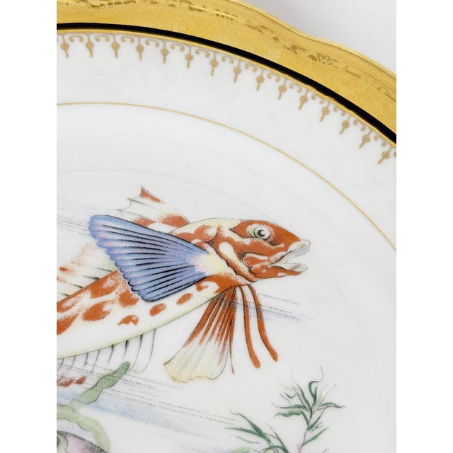 Ceramic Plates with Fish Decoration, France, 1970s, Set of 3 For Sale - Image 6 of 17
