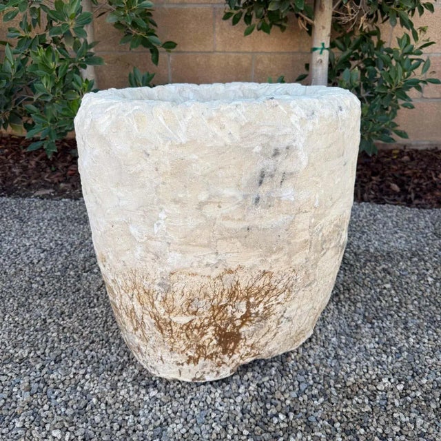2020s Vintage Limestone Trough Medium Size With Sea Fan Fossilization For Sale - Image 5 of 9