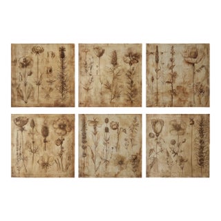 Set of 6 - 54" X 36" Gallery Wall Installation 'Monochrome Sepia Flowers' Herbarium Botanical Floral Prints, Unframed For Sale